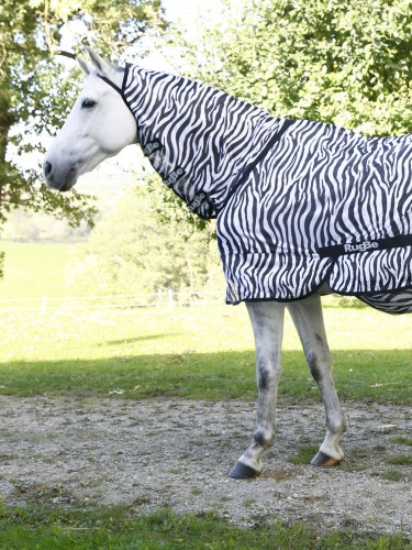 Putukatekk RugBe Zebra