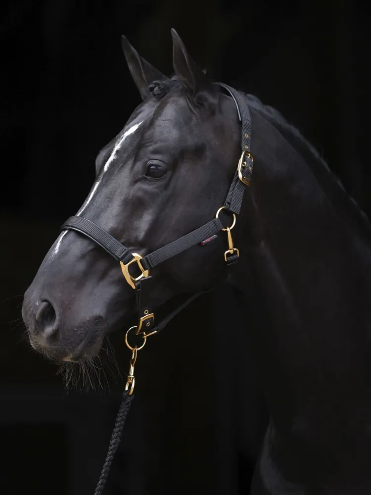 Päitsed TopLine