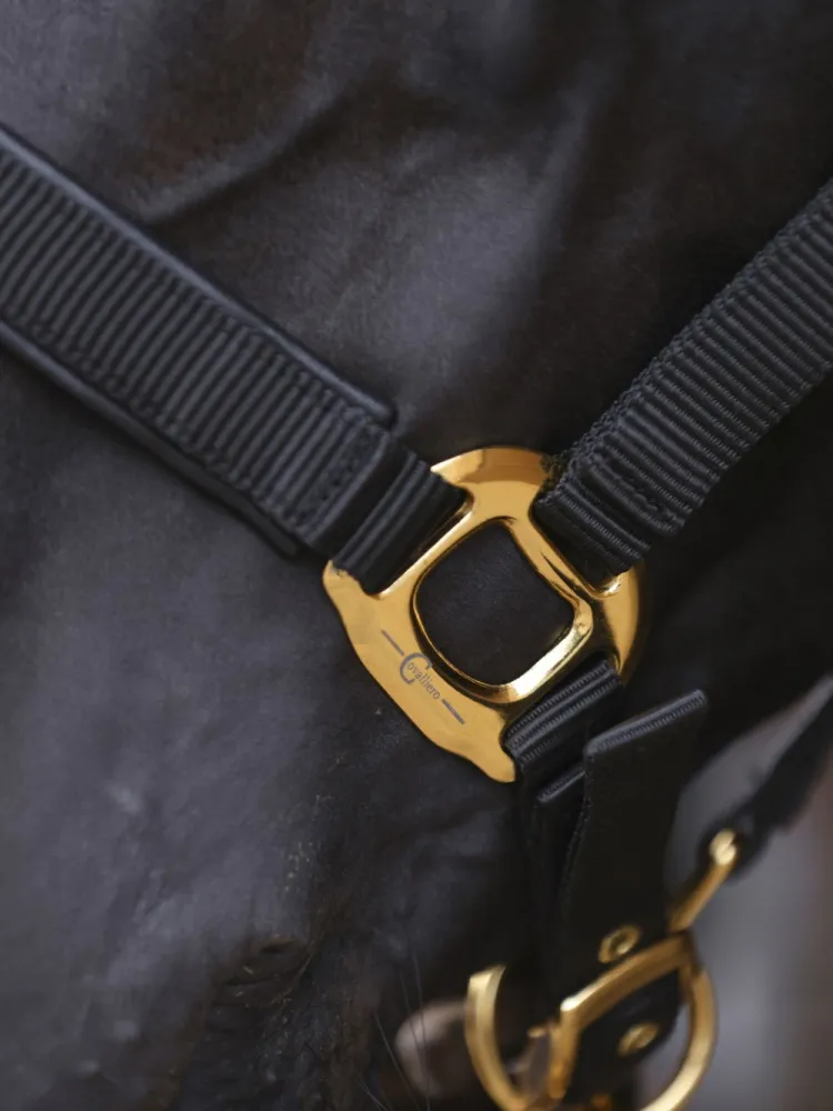 Päitsed TopLine