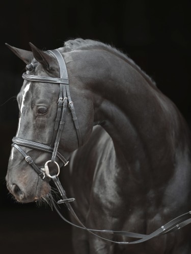 Valjad Bridle Classic