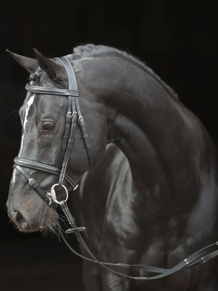 Valjad Bridle Classic