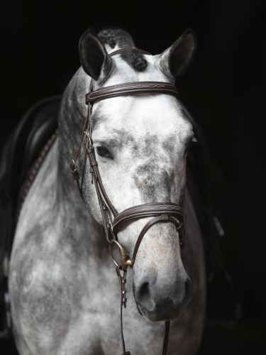 Valjad Bridle Classic