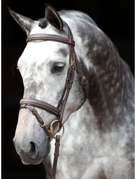 Valjad Bridle Classic