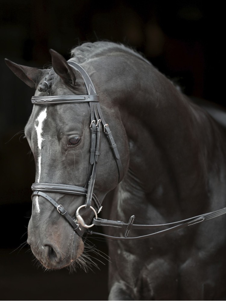 Valjad Bridle Classic