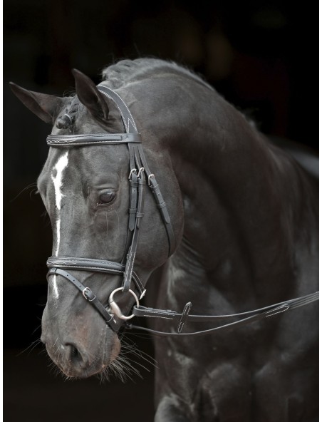 Valjad Bridle Classic