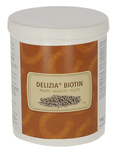 Delizia Biotin 1kg