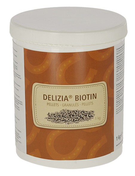 Delizia Biotin 1kg