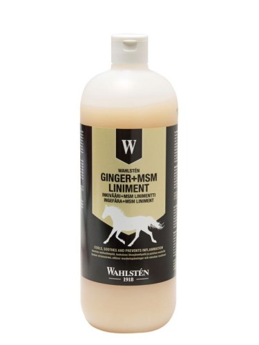 W Ingver+MSM liniment 1l