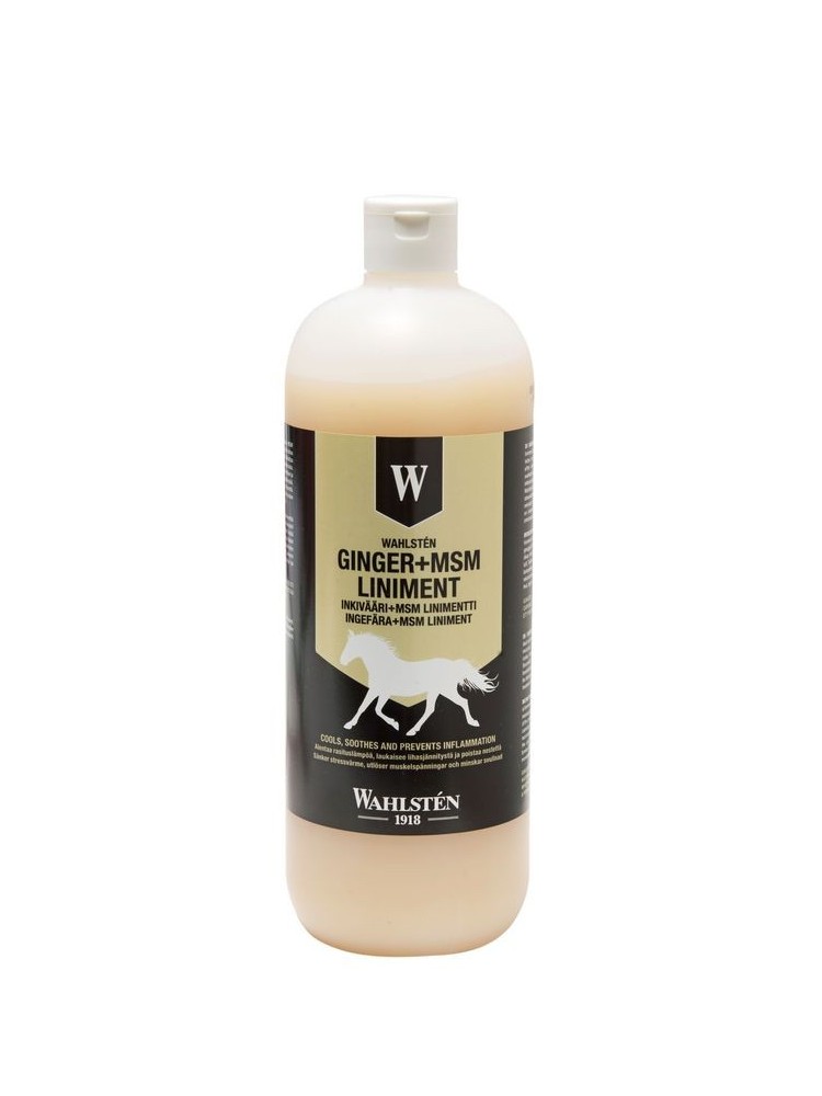 W Ingver+MSM liniment 1l