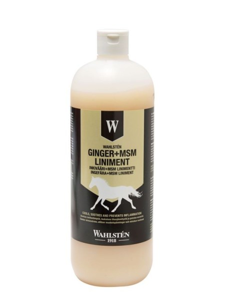 W Ingver+MSM liniment 1l