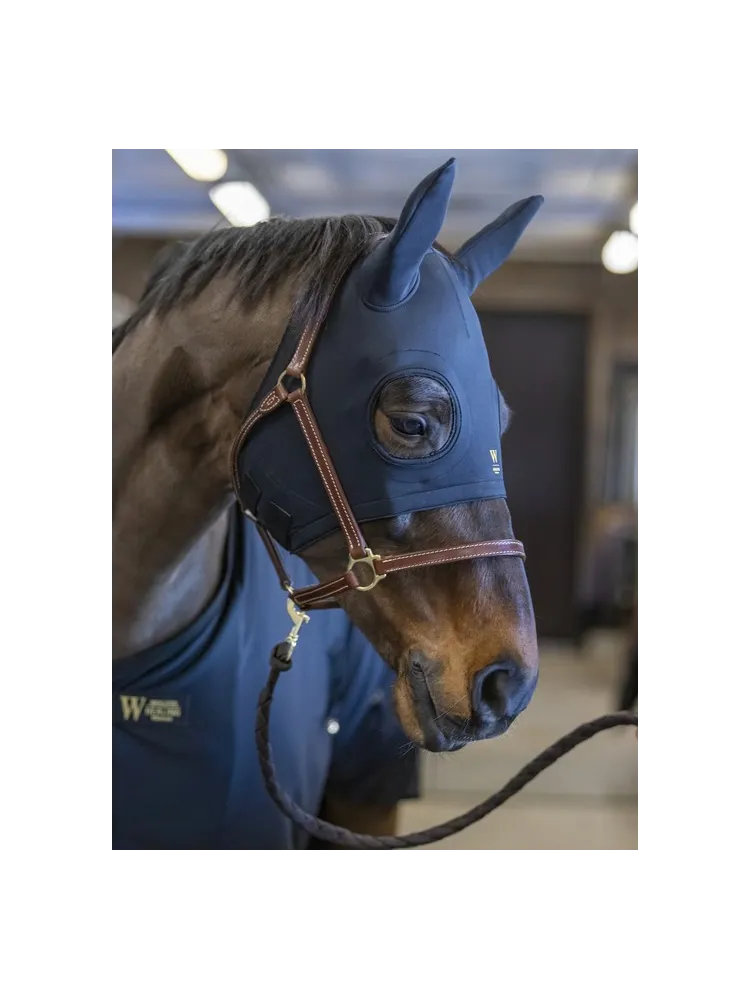 Kõrvadega mask Healing Titanium Wahlstén