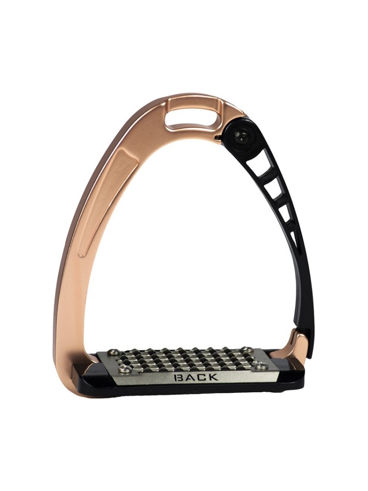 Turvajalused Arena Alupro rosegold Acavallo