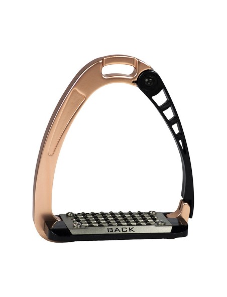 Turvajalused Arena Alupro rosegold Acavallo