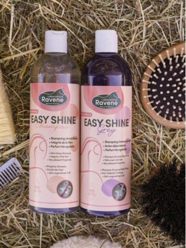 Šampoon Easy Shine Ravene Gray 500ml